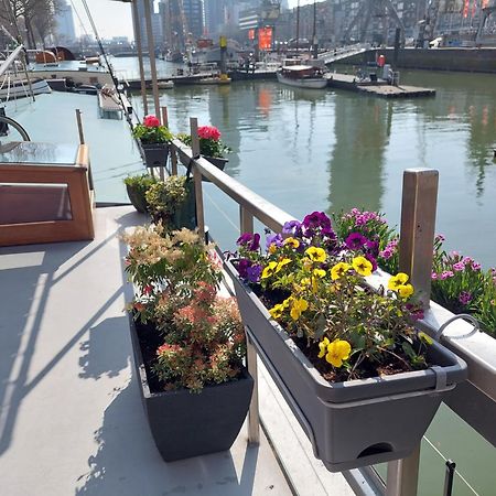 Rooms On Water Rotterdam Ngoại thất bức ảnh