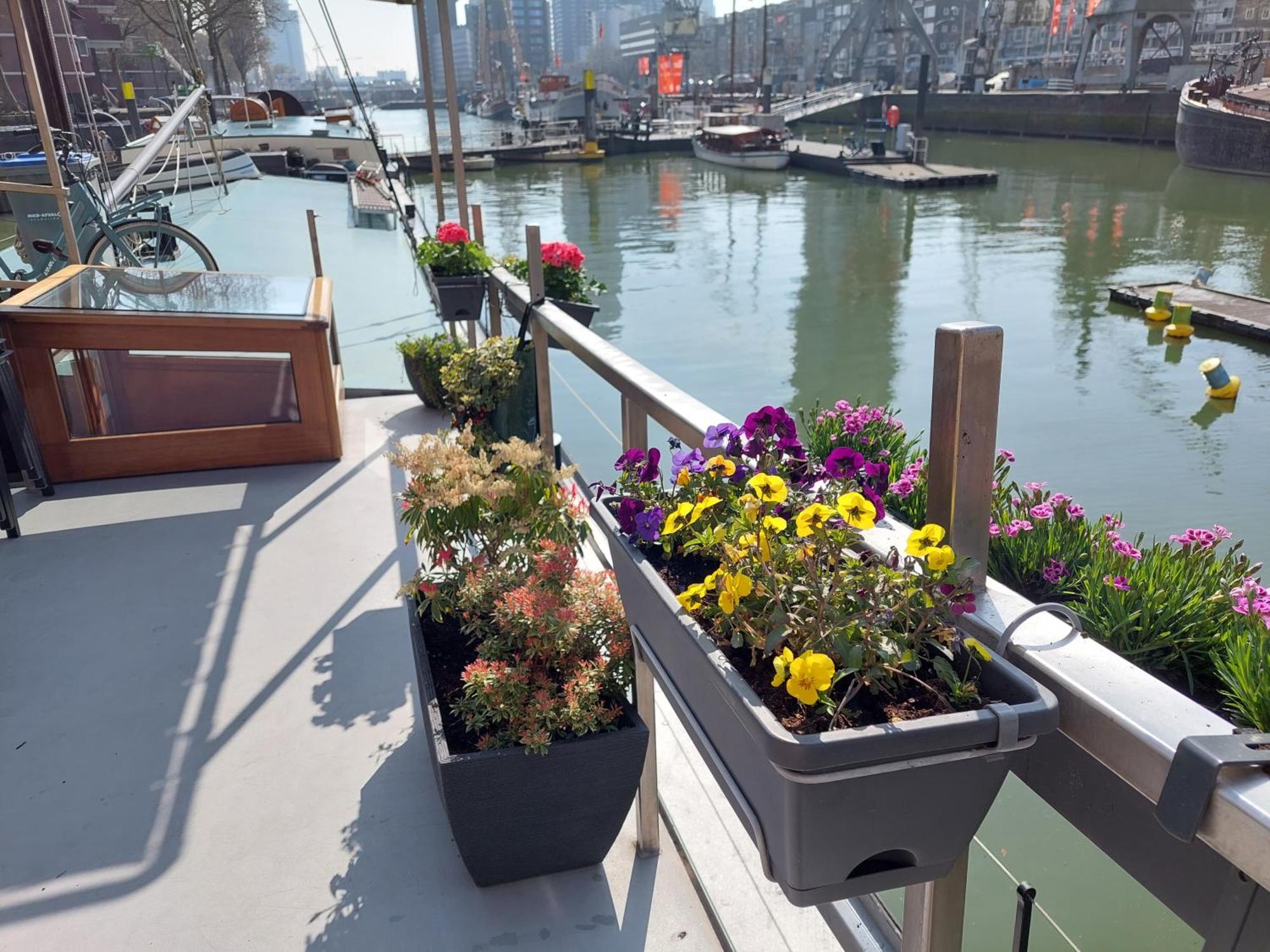 Rooms On Water Rotterdam Ngoại thất bức ảnh